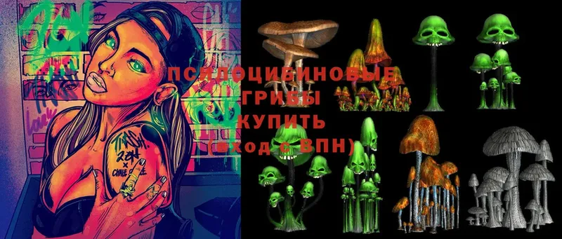 Псилоцибиновые грибы Psilocybe  Болохово 